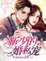 靳少的二婚私寵