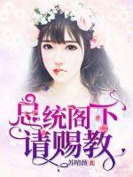 總統閣下,請賜教