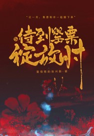 待到罌粟綻放時