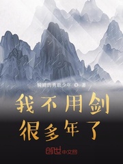 我不用劍很多年了