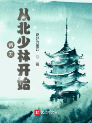 諸天︰從北少林開始