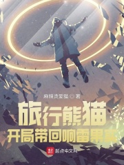旅行熊貓︰開局帶回響雷果實
