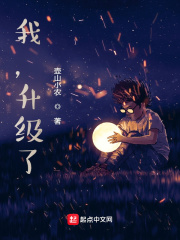 我,升級了