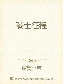騎士征程