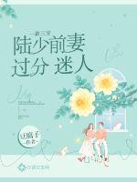 一胎三寶︰陸少前妻過分迷人